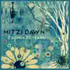 Mitzi Dawn - 2 Songs 22 Tears - Single